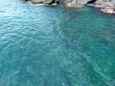 グレの釣果写真（2枚目）