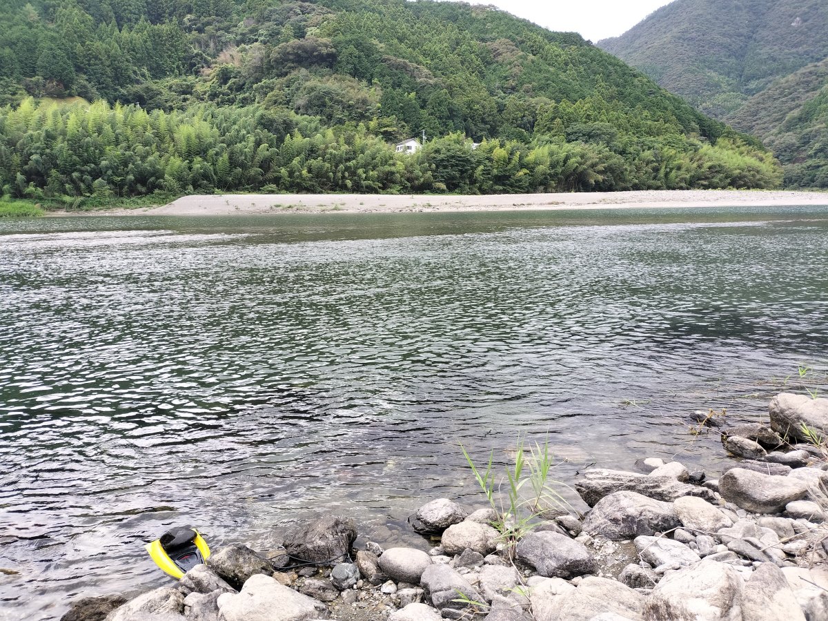 岸際の石の間から見た川。対岸に白い河原と竹林の山がある