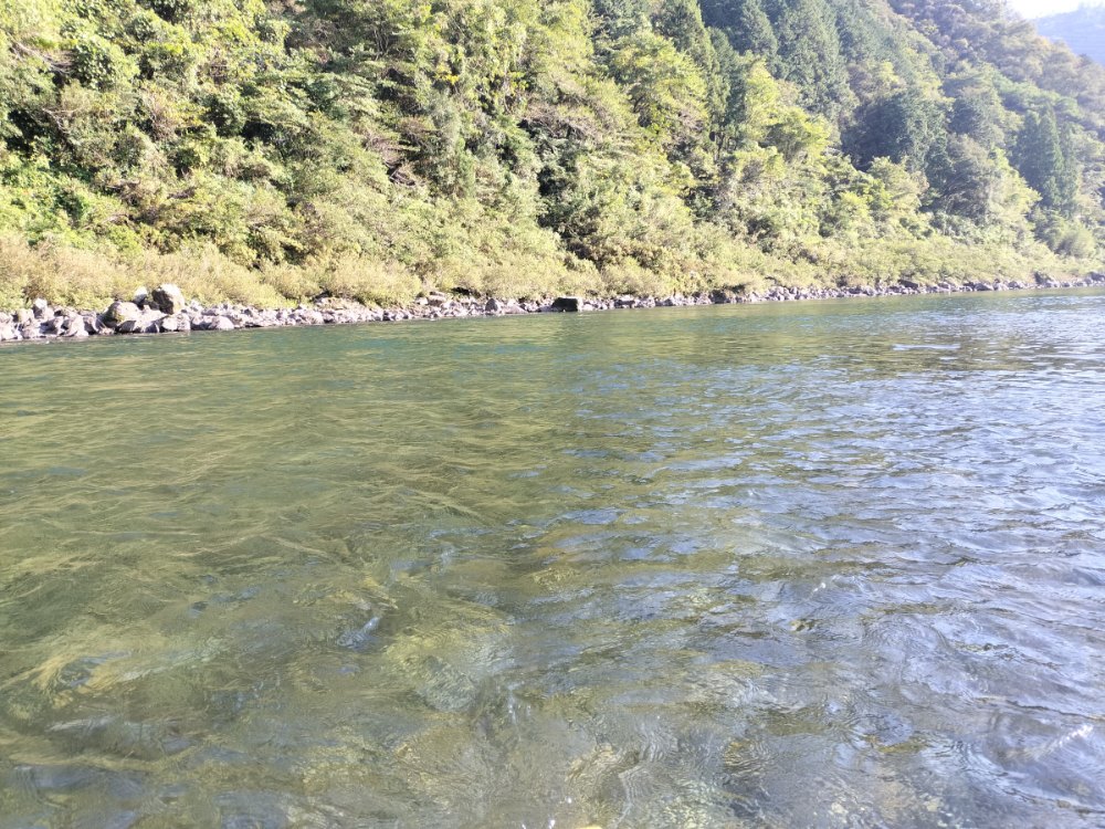 緑の山と石の岸に沿って流れる、底の石が透けて見える澄んだ川